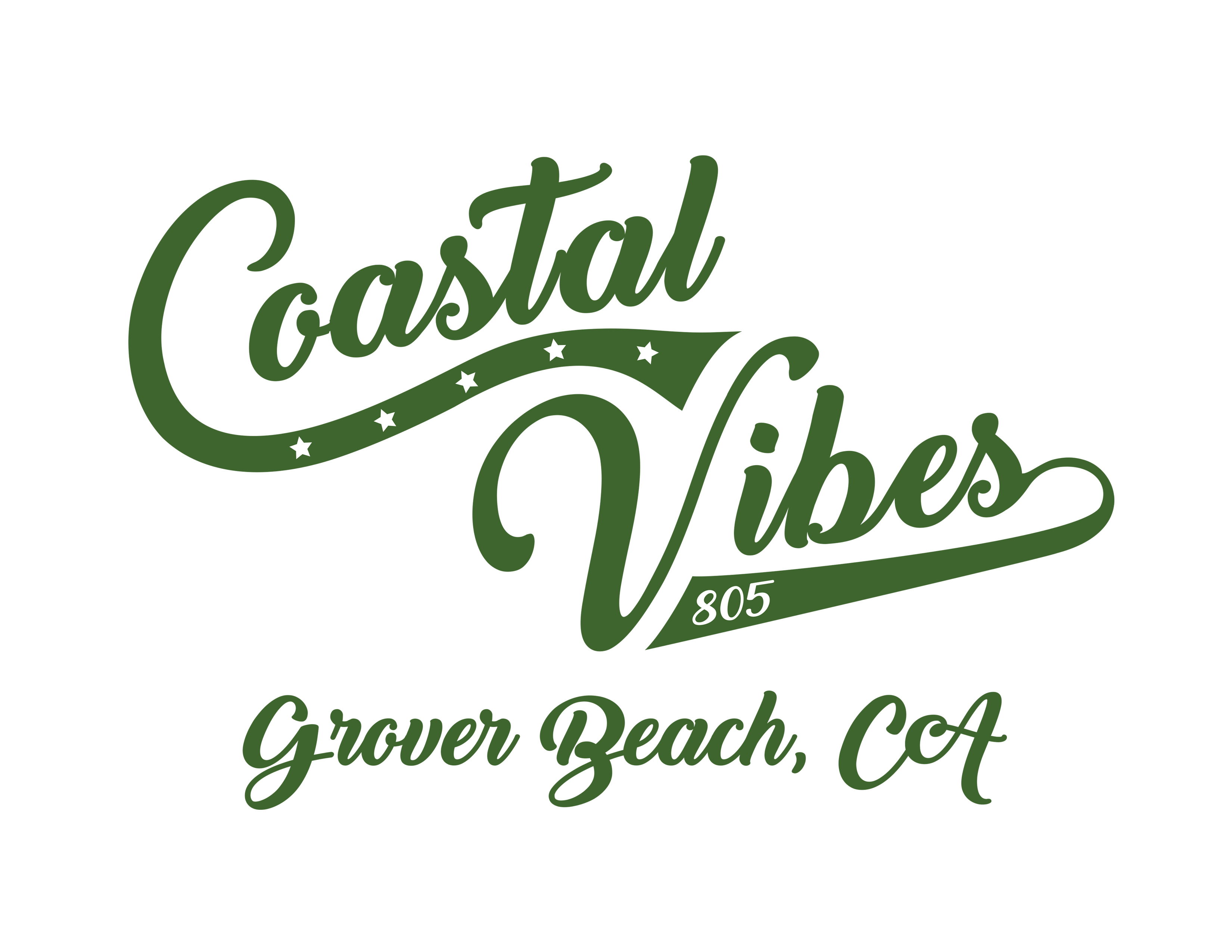 Coastal Vibes logo